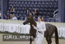 25R13_08529 thumbnail