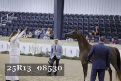 25R13_08530 thumbnail