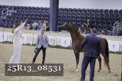 25R13_08531 thumbnail