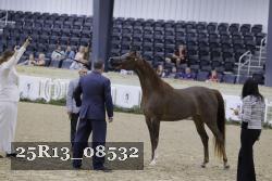 25R13_08532 thumbnail