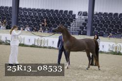 25R13_08533 thumbnail