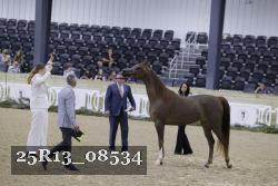 25R13_08534 thumbnail