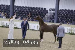 25R13_08535 thumbnail
