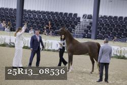25R13_08536 thumbnail