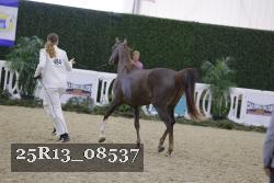 25R13_08537 thumbnail