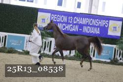 25R13_08538 thumbnail