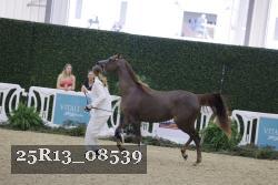 25R13_08539 thumbnail