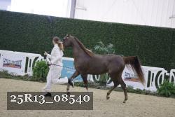 25R13_08540 thumbnail