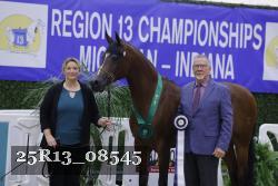 25R13_08545 thumbnail