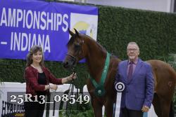 25R13_08549 thumbnail