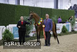 25R13_08550 thumbnail