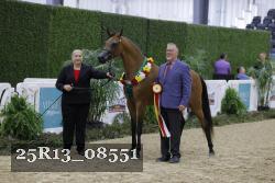 25R13_08551 thumbnail