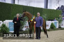 25R13_08552 thumbnail
