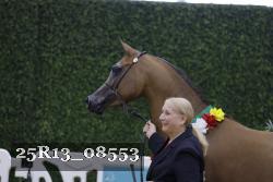 25R13_08553 thumbnail