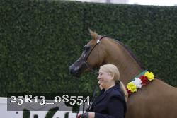 25R13_08554 thumbnail