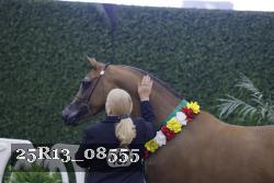 25R13_08555 thumbnail