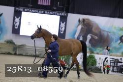 25R13_08559 thumbnail