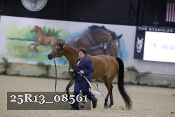 25R13_08561 thumbnail