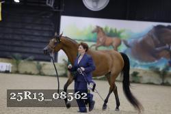 25R13_08562 thumbnail