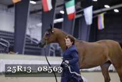 25R13_08563 thumbnail