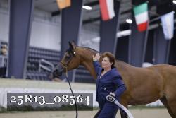25R13_08564 thumbnail