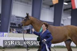 25R13_08565 thumbnail