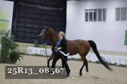 25R13_08567 thumbnail