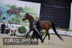 25R13_08568 thumbnail