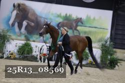 25R13_08569 thumbnail