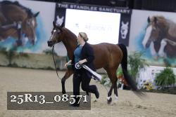 25R13_08571 thumbnail
