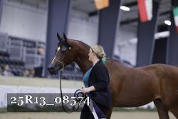 25R13_08574 thumbnail