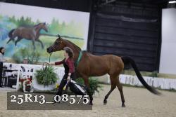 25R13_08575 thumbnail