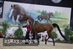 25R13_08576 thumbnail