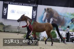 25R13_08577 thumbnail