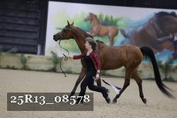 25R13_08578 thumbnail