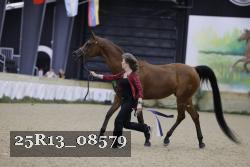 25R13_08579 thumbnail