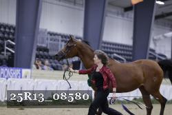 25R13_08580 thumbnail