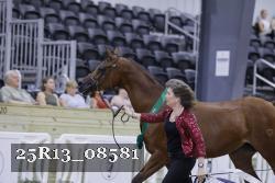 25R13_08581 thumbnail