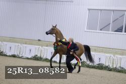 25R13_08582 thumbnail