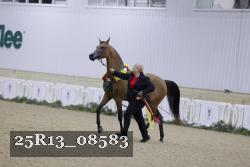 25R13_08583 thumbnail
