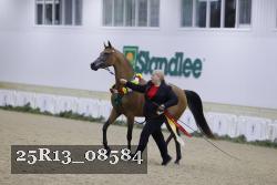 25R13_08584 thumbnail