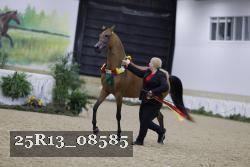 25R13_08585 thumbnail