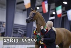 25R13_08588 thumbnail