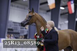25R13_08589 thumbnail