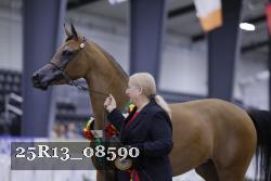 25R13_08590 thumbnail