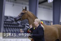 25R13_08591 thumbnail