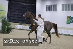 25R13_08592 thumbnail