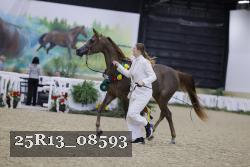 25R13_08593 thumbnail