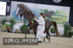 25R13_08594 thumbnail