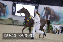 25R13_08595 thumbnail